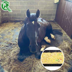 उच्च घनत्व फोम और रबर के साथ नरम घोड़ा स्थिर आराम गद्दे, उन्नत भूमध्य रेखा आराम के लिए एंटी-स्लिप वाटरप्रूफ हॉर्स बेड मैट - Product Image 2