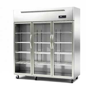 Congélateur vertical commercial en acier inoxydable avec porte vitrée pour aliments surgelés - Offre spéciale - Product Image 3