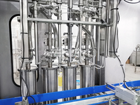 2025, envío gratis, venta directa de fábrica, aceite comestible para cocinar, línea de producción de aceites comestibles, máquinas de llenado de aceite de sellado de tapado de botellas