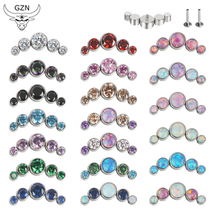 Pendientes <span class=keywords><strong>de</strong></span> Titanio ASTM F136 <span class=keywords><strong>de</strong></span> Alta Calidad con Rosca Interna y Zirconia para Labret, <span class=keywords><strong>Piercing</strong></span> <span class=keywords><strong>de</strong></span> <span class=keywords><strong>Labio</strong></span>, Joyería Punk - Product Image 1