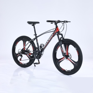 Vélo de montagne personnalisé de 26 <span class=keywords><strong>pouces</strong></span> avec frein à disque double, vitesse variable, vélo de cross-country pour hommes et femmes - Product Image 5