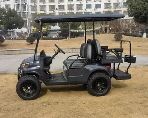 Wholesale Gasoline Powered 4 Or 6 Seater EPA Certified Off Road Petrol Engine Golf Cart/gas Or Electric Power Golf Buggy Car