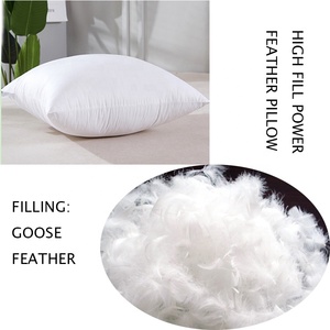 Oreiller personnalisé, en plumes, souple et confortable, pour le canapé, 2021 unités - Product Image 5