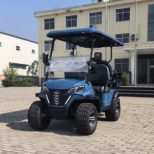 Chariot de golf électrique Elektro Buggies tout-terrain personnalisable avec certificat CE - Product Image 3