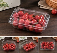 Wegwerp voedselveilige PP plastic fruitverpakking geventileerde clamshell doos voor bessen en druiven verpakking