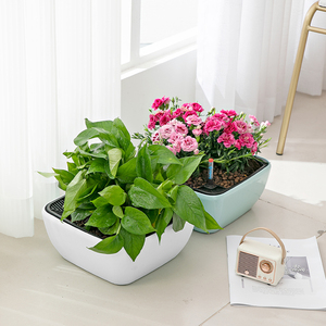 Garden Supplies Round Style Desktop Decor Bonsai Self Watering Plastic Flower Pot Plant