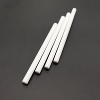 2.5mm à 21mm Fiber De Roseau Diffuseur Bâton Blanc Humidificateur Filtre Recharge D'huile Parfumée
