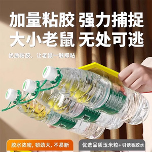 กาวดักหนูคิสซ่าแบบแผ่น 1 แพ็ค ใช้แล้วทิ้ง สำหรับควบคุมหนูในบ้าน - Product Image 3