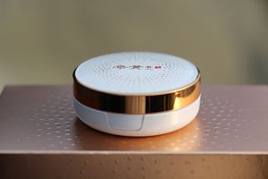 SOOSUL Mesh <b>Cushion</b> Pact with Sanghwang Mushroom Phellinus Linteus Extract Korean <b>Cushion</b> <b>Foundation</b> SPF Protection Lightweight - Product Image 4