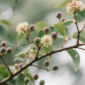 BEESTAR 2025 nuevo producto auténtico puro Natural dulce <span class=keywords><strong>eucalipto</strong></span> <span class=keywords><strong>miel</strong></span> superventas alimentos saludables envasado a granel certificado Halal - Product Image 3