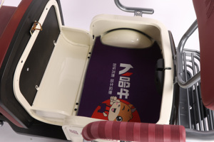 Продает рефрижератор электрический велосипед 2 Elecartc trermotos 500W, 650W, 800W 48V 2 сиденья Carguero открытый пассажир 7-9h 351 - 500w - Product Image 4