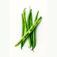 Frijoles de la Marca Moon Star Premium, Variedad para Cultivo Comercial, con Excelente Uniformidad de Vainas, Crecimiento Fuerte, Alto Potencial, 99%