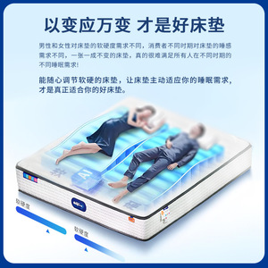 Shushi Furniture Smart Mattress M1 Electric Adaptive <b>Memory</b> <b>Foam</b> Independent Firmness Adjustment - Product Image 1
