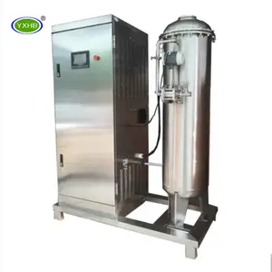 100g/h Ozone Generator Water Machine for Fish Farm