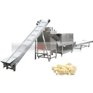 Gelgoog-trituradora de solución de planta de procesamiento Industrial de ajo, máquina separadora de ajo pelador