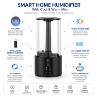 Humidificateurs ultrasoniques de 5,5 L de bonne qualité Air Innovations à brume chaude et froide, remplissage par le haut
