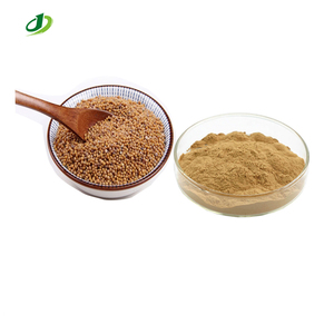 Extracto de Semilla de <span class=keywords><strong>Mostaza</strong></span> Blanca Natural en Polvo, Extracto de Semen Sinapis Albae 10:1 - Product Image 1