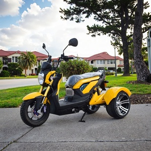 Triciclo Elettrico Aperto 1000W, Batteria al Piombo-Acido 60V, Logo e Colore Personalizzabili, Tre Ruote, 30-50km/h, Autonomia 30-50km - Product Image 4