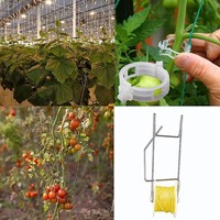 Crochet à rouleaux pour tomates avec cadre en fil métallique et ficelle de 30 mètres