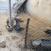 Clôture en treillis de chaîne galvanisée en fer de jardin de haute qualité à vendre, treillis métallique décoratif revêtu de PVC pour la cour