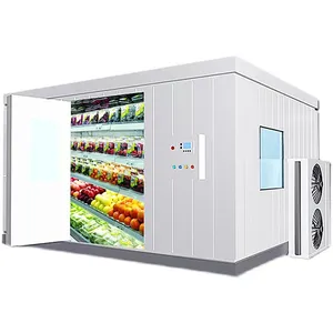 Refrigerador de panel de poliuretano PU, congelador de ráfaga, caminar, habitación fría