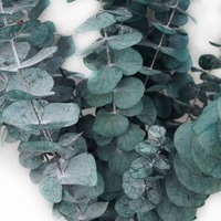 Daun Eucalyptus Awet Terlaris untuk Dekorasi Pernikahan & Wisuda, Halloween, Rumah, Lampu LED Tahan Air, Tahan Lama