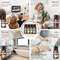 Diffuseurs d'huiles essentielles naturelles à la rose, à l'orange et à la citronnelle, 10 ml, label privé, aromathérapie relaxante, soulagement du stress