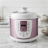 Autocuiseur Électrique GB-PC500A 6L 800W avec Boîtier en Acier Inoxydable, Cuve Intérieure en Fer-Aluminium, Utilisation Domestique, Cuiseur Vapeur, Cuillère et Mesureur