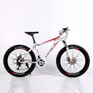 Bicicleta de montaña de 26 pulgadas de acero al carbono para mujer <span class=keywords><strong>Fat</strong></span> Delivery 26 ''MTB con 21 engranajes de velocidad y sistema de frenado de línea de freno - Product Image 4