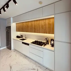 White Modern Luxury Kitchen