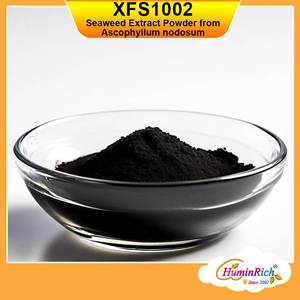 HuminRich XFS1002 Poudre d'extrait d'algues Ascophyllum Nodosum de source végétale biologique pour une croissance accrue des plantes et la santé du sol - Product Image 4