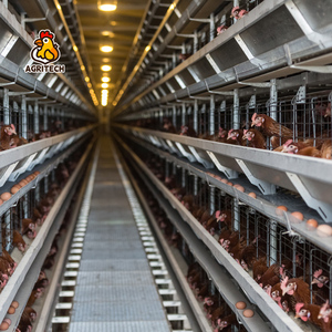 Bán Buôn 2025 Tự Động Gia Cầm Thiết Bị Nông Nghiệp Giá Rẻ Giá Gà Lồng Pin Hai Lớp Lồng Động Vật Lồng - Product Image 4