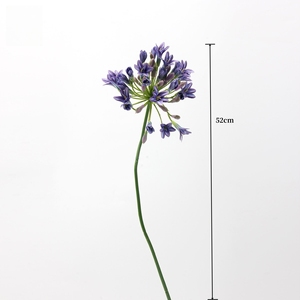 Fábrica al por mayor Artificial Agapanthus <span class=keywords><strong>Africanus</strong></span> flores de lirio de seda para Bodas de Navidad Día de San Valentín graduación Pascua - Product Image 6
