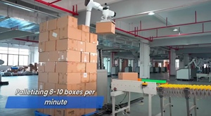 Nuovo Robot Collaborativo Automatico per Impilamento <span class=keywords><strong>Libri</strong></span> e Pallettizzazione con Controllo Remoto Touchscreen, Capacità di Carico 30KG - Product Image 4