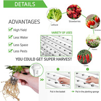 Petit Système de Culture Vertical Intérieur Hydroponique pour Plantes à Domicile