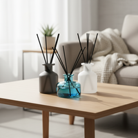 Vente en gros de flacons de parfum décoratifs pour la maison de 150ml 200ml flacons d'arôme vides en verre noir blanc flacons de diffuseur de luxe pour la maison