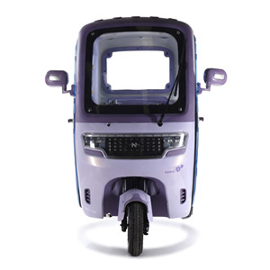 Low Price Offered Electric Tricycle Closde 5-Door 3-Wheel Delivery Car 100-200kg Payload <strong>Passenger</strong> <strong>2</strong> Manufacturer's Motorized - Product Image 2
