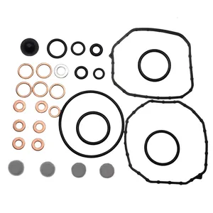 fuel injection pumps Injection Pump Seal Kit 2467010003 For VW Jetta Golf 1.9 TDI MK4