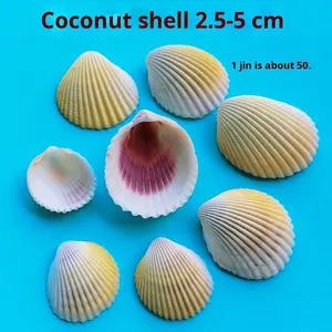 天然ホワイトシェルDIY手作り絵画グラフィティオーシャンスタイルウォールステッカーハワイアンビッグホワイトファンシェル卸売 - Product Image 6