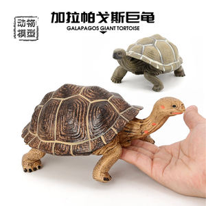 Оптовая продажа, твердая поливинилхлоридная статуэтка, гигантская модель черепахи, фигурки животных, игрушки - Product Image 2