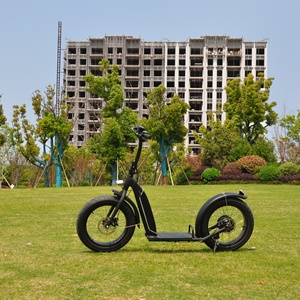 <span class=keywords><strong>Trottinette</strong></span> Électrique Grande Roue <span class=keywords><strong>Adulte</strong></span> 20 Pouces, E-Scooter Tout-Terrain Fabriquée en Chine - Product Image 4