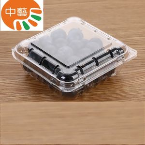 صناديق تعبئة بلاستيكية شفافة لتعبئة الفراولة من التوت الأزرق - Product Image 5