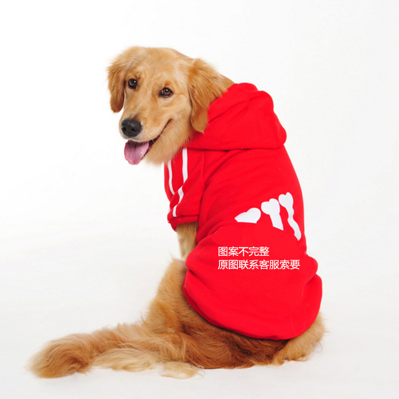 Grand chien et rouge