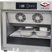 Réfrigérateur commercial GRACE Mini congélateur à soufflage et refroidisseur à soufflage Machine de congélation de table