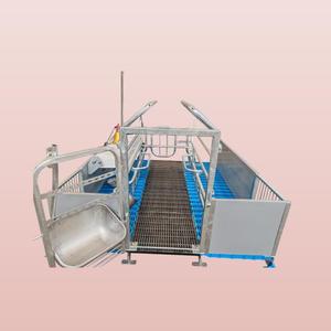 Camas de puestos de alta calidad, corrales para cerdas, venta de equipos de granja de cerdos modernos y cómodos, cajas de parto para cerdas - Product Image 1