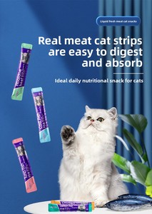Nourriture pour animaux de compagnie : Friandises pour chats, nourriture humide pour chats adultes gestants, suppléments nutritionnels, vente en gros, approvisionnement par carton entier - Product Image 6