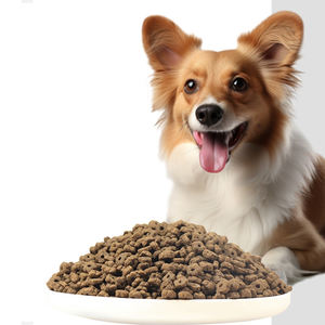 OEM ODM fábrica al por mayor alimentos para mascotas a granel varias formas bajo en grasa alta proteína precio completo comida para perros comida seca para perros - Product Image 1