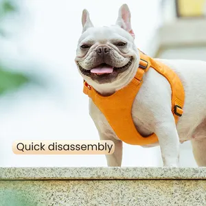 Hot Selling Waterproof Adjustable Pet Collars Leashes Set Luxury Dog Collar Custom Dog Harnesses