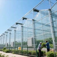 Commerciële grootschalige Venlo glazen kas voor hydroponische aardbeien- en sla-productie met verticale teelttechnologie