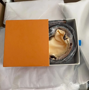 2025 Top Brand di lusso cinture di design per uomo e <span class=keywords><strong>donna</strong></span> mucca pelle materiale con stile Casual e fibbia in lega - Product Image 1